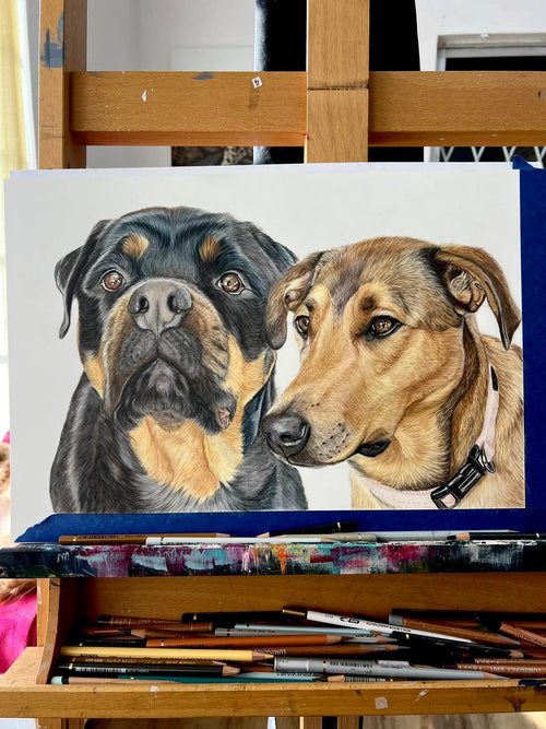 Hand-drawn pet portrait by SKETCH X STUDIO LTD
