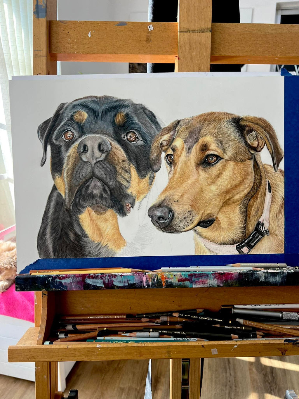 Custom pet portrait artwork