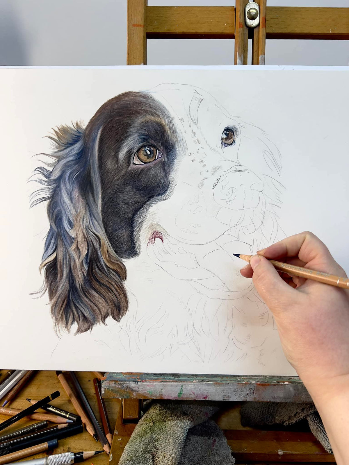 Custom pet portrait artwork