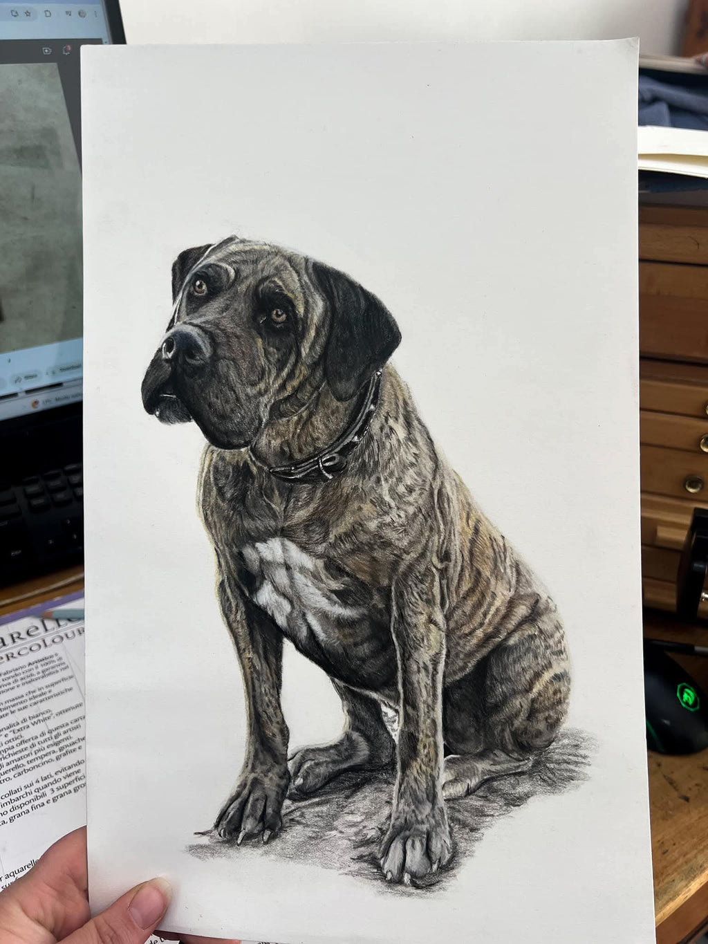 Custom pet portrait artwork
