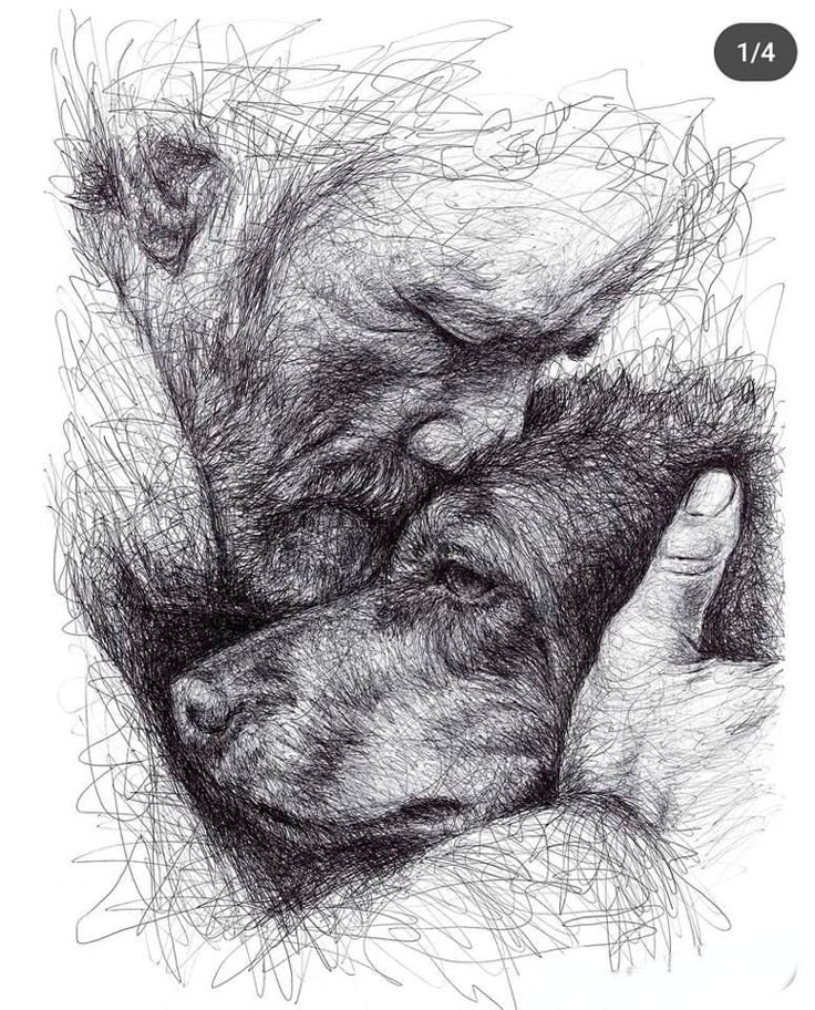 Custom pet portrait artwork