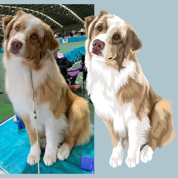 Pet Cartoon Portrait